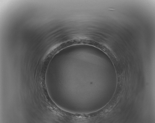 X0000060570919200511101625