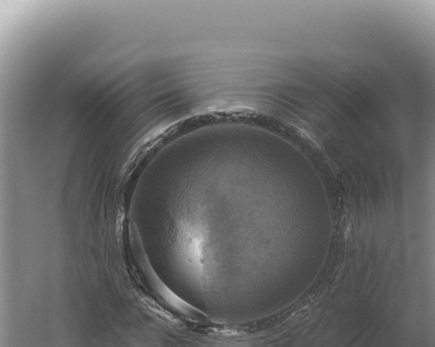 X0000060570920200511101625