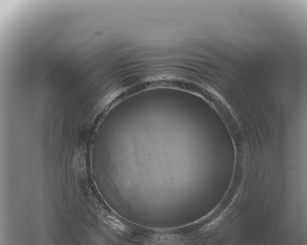 X0000060570921200511101625