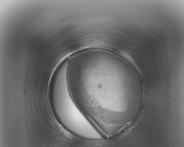 X0000060570924200511101626