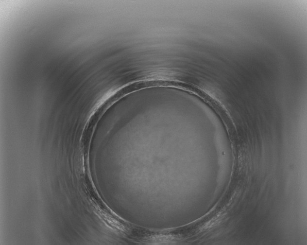 X0000060570925200511101626