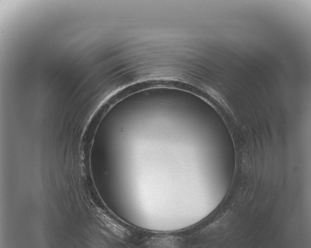 X0000060570926200511101626