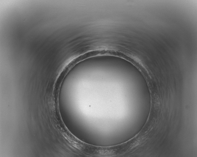 X0000060570927200511101626