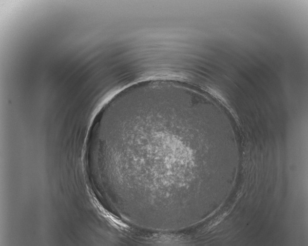 X0000060570928200511101626