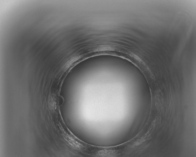 X0000060570929200511101626