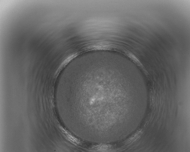 X0000060570930200511101626