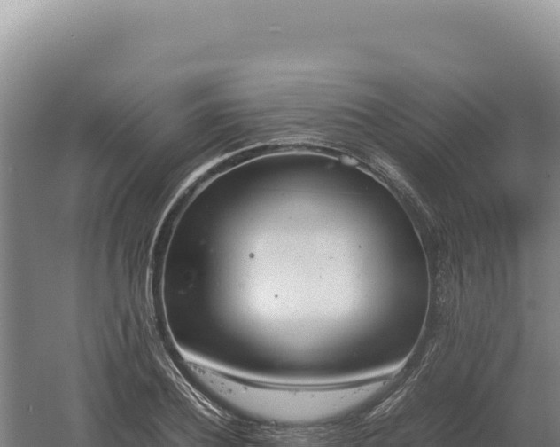 X0000060570932200511101626