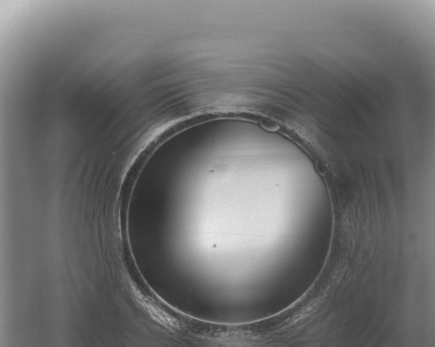 X0000060570934200511101626