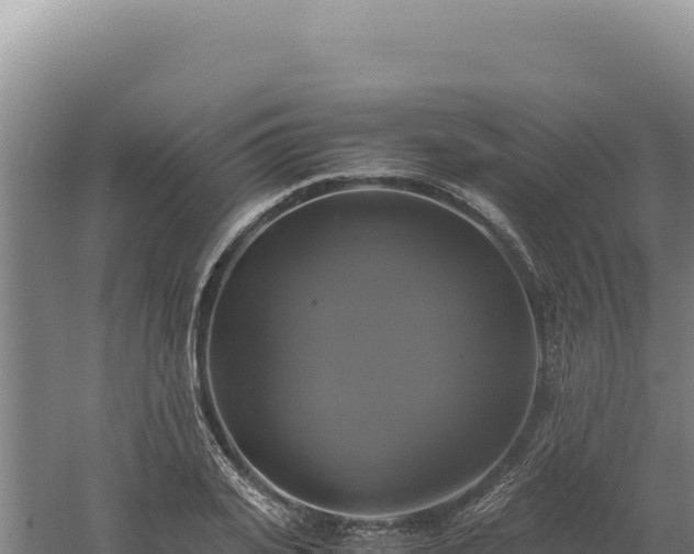 X0000060570935200511101626