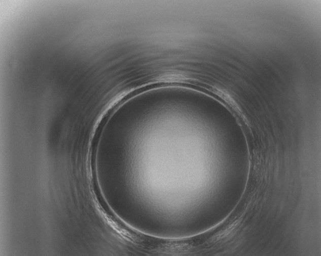 X0000060570939200511101626