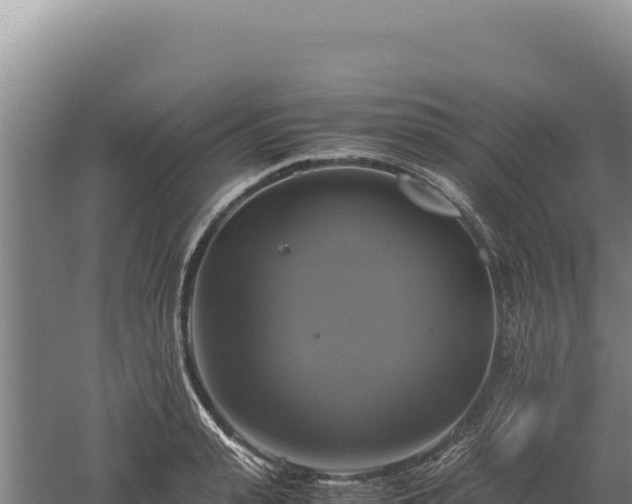 X0000060570943200511101626