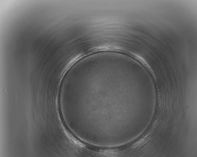 X0000060570946200511101626