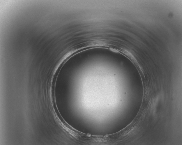 X0000060570947200511101626