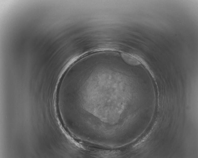 X0000060570949200511101626