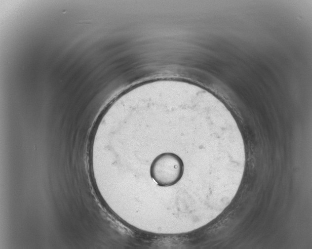 X0000060570950200511101626