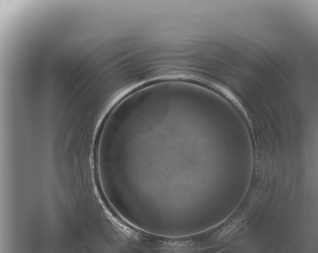 X0000060570951200511101626