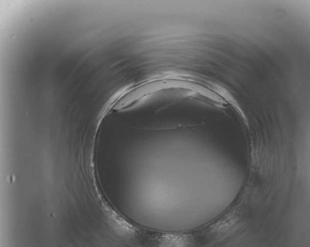 X0000060570954200511101626