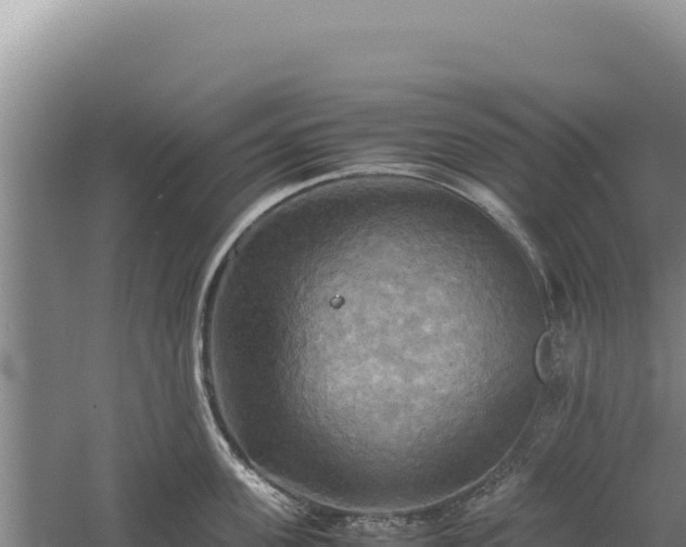 X0000060570955200511101626