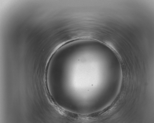 X0000060570956200511101626