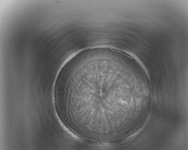 X0000060570957200511101626