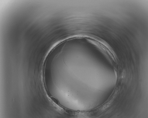 X0000060570958200511101626