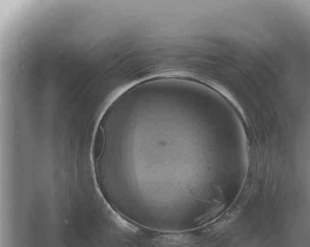 X0000060570959200511101626