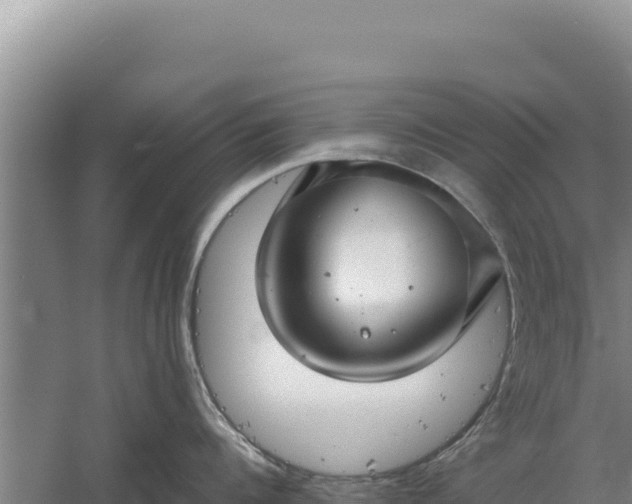 X0000060570960200511101626