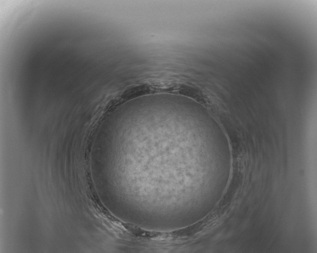 X0000060570961200511101625