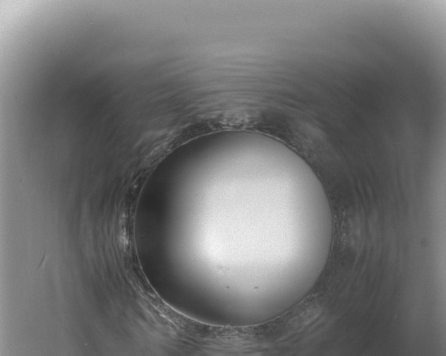 X0000060570962200511101625