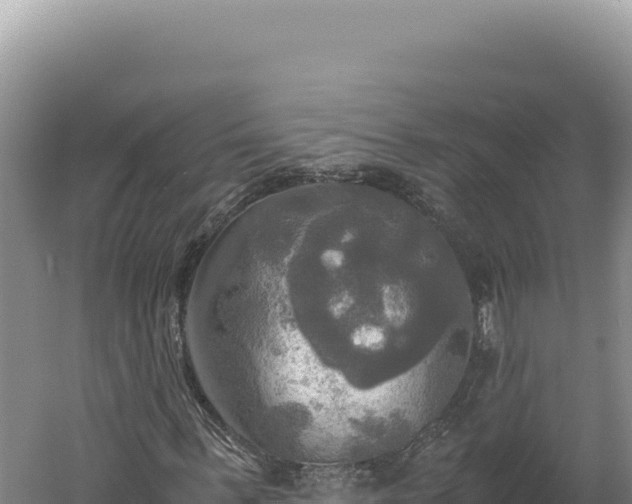 X0000060570963200511101625