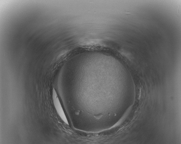 X0000060570965200511101625