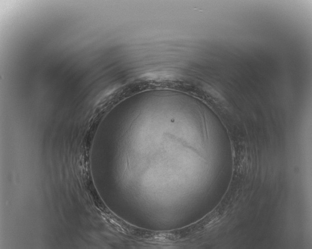 X0000060570966200511101625