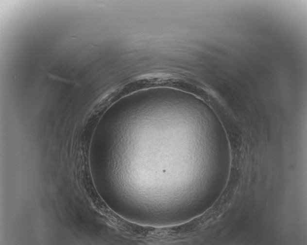 X0000060570967200511101625