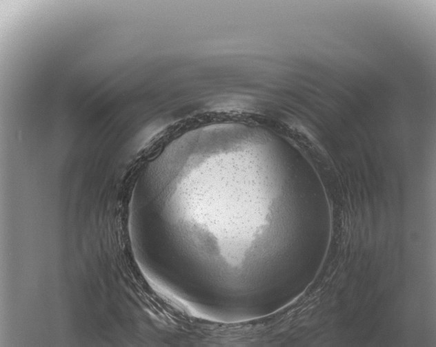 X0000060570968200511101625