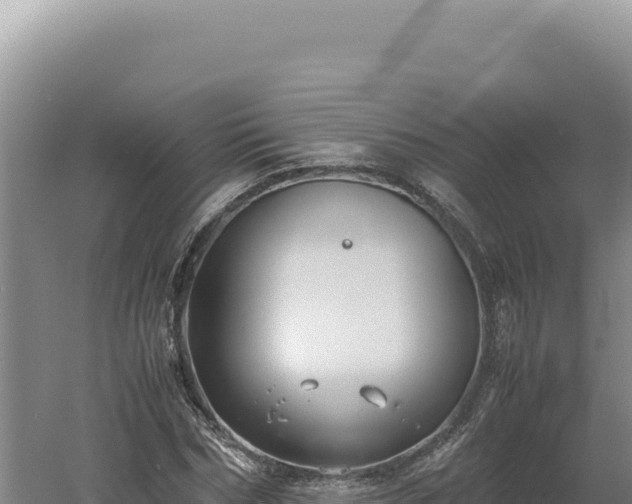 X0000060570970200511101625