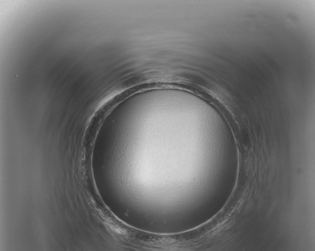 X0000060570971200511101625