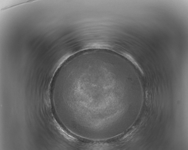 X0000060570972200511101625