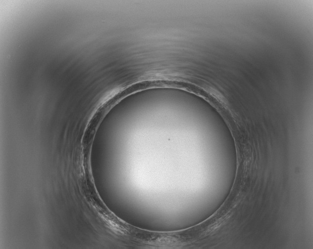 X0000060570974200511101625