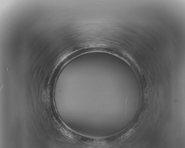 X0000060570975200511101625