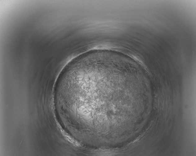 X0000060570976200511101625