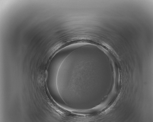 X0000060570977200511101625