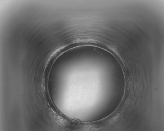 X0000060570979200511101625