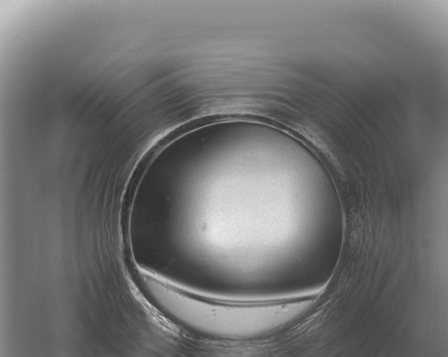 X0000060570980200511101625