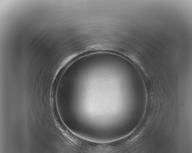 X0000060570981200511101625