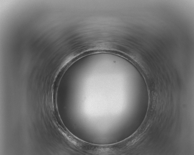 X0000060570982200511101625