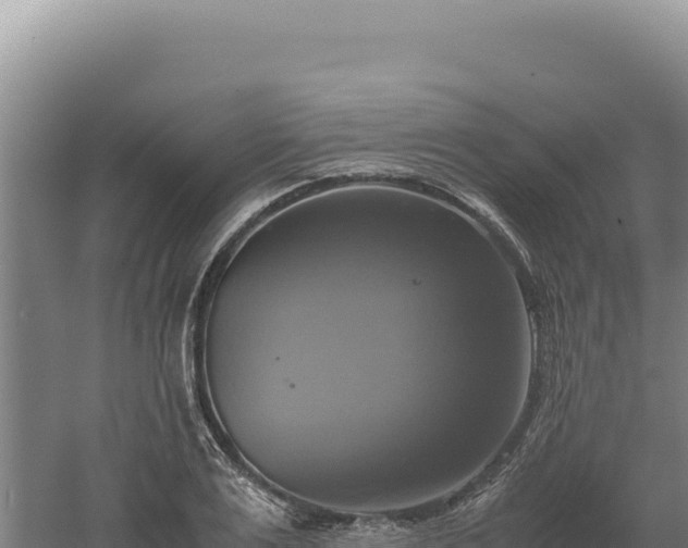 X0000060570983200511101625