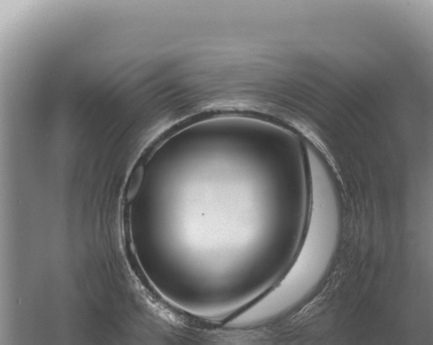 X0000060570984200511101625