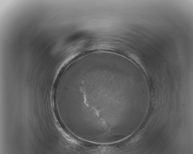 X0000060570987200511101625