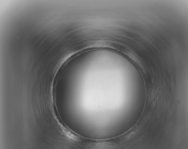 X0000060570988200511101625