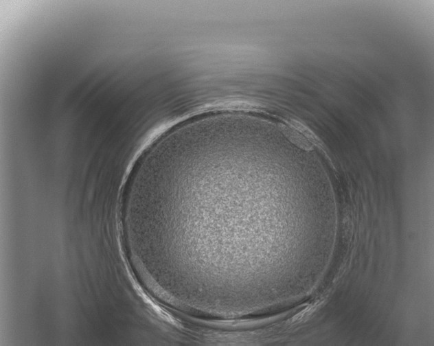 X0000060570989200511101625